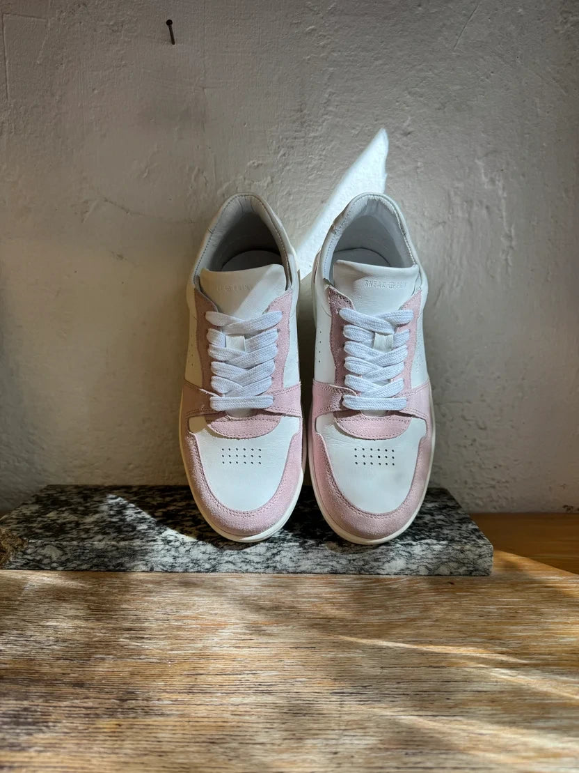 B2 - Rosa