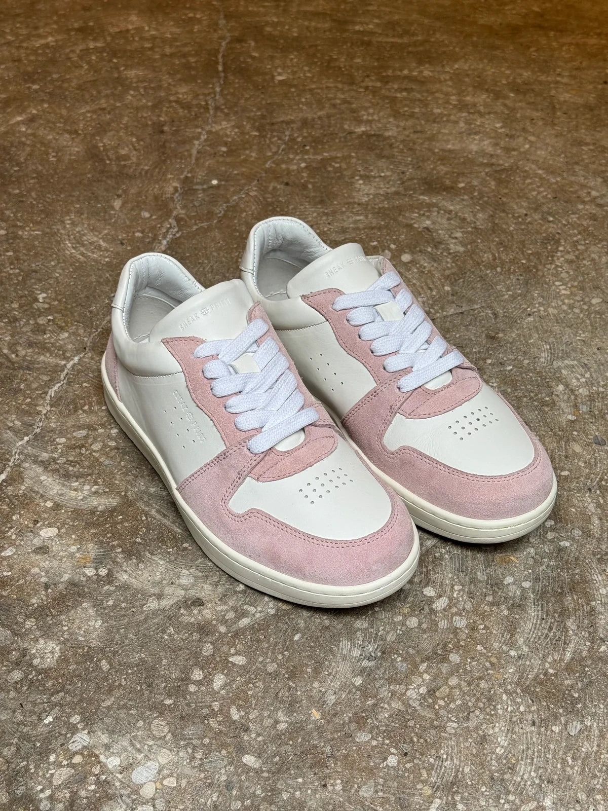 B2 - Rosa